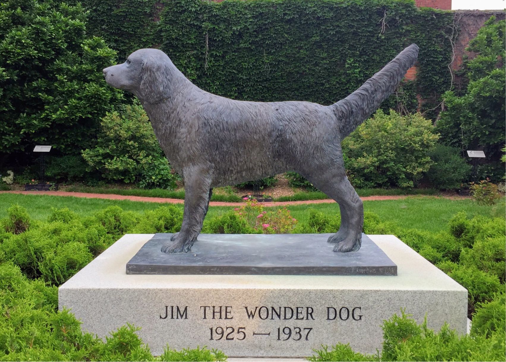 Jim the Wonder Dog